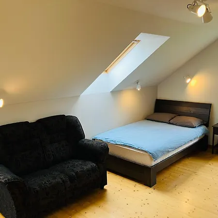 别墅 Otto Basseini Ja Saunaga Abula