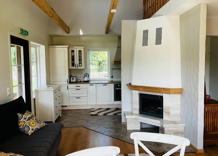 Willa Otto Basseini Ja Saunaga