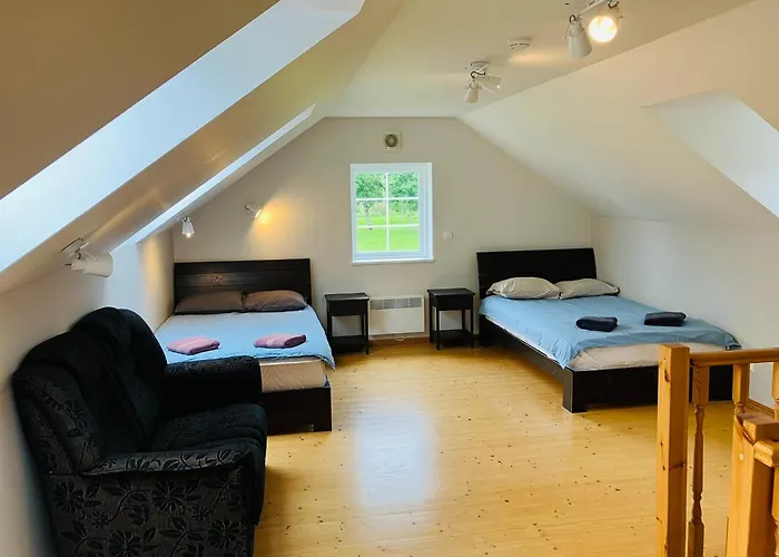 Otto Basseini Ja Saunaga * Abula