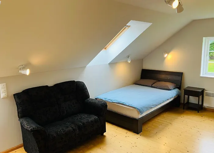 Willa Otto Basseini Ja Saunaga Abula