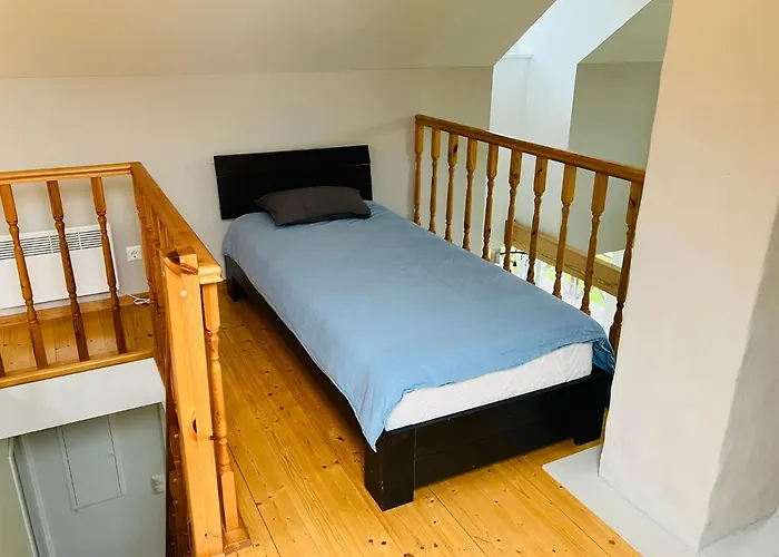 Willa Otto Basseini Ja Saunaga Abula