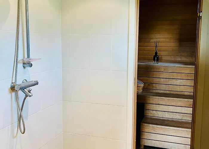 Willa Otto Basseini Ja Saunaga *