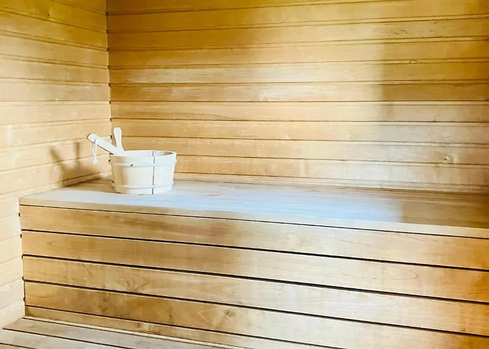 Willa Otto Basseini Ja Saunaga Abula