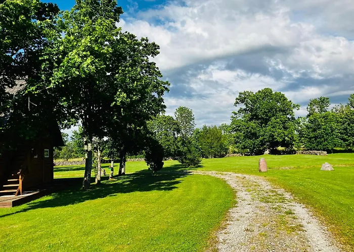 Otto Basseini Ja Saunaga Abula
